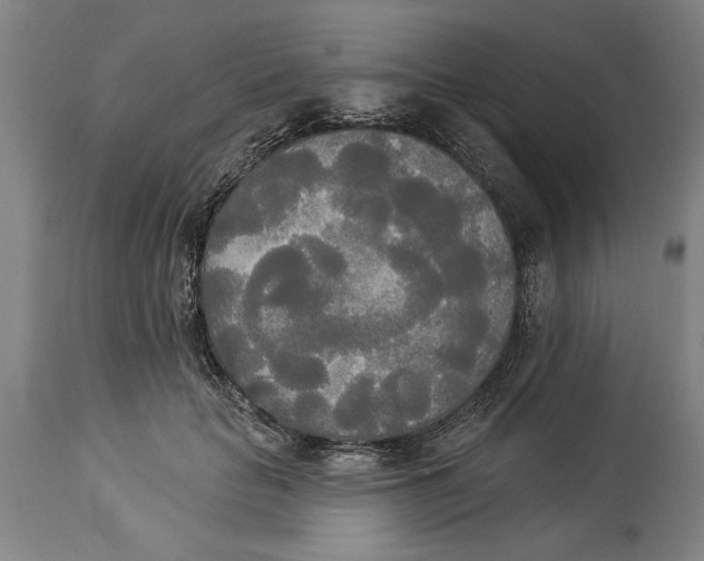 X0000114550653200911091157
