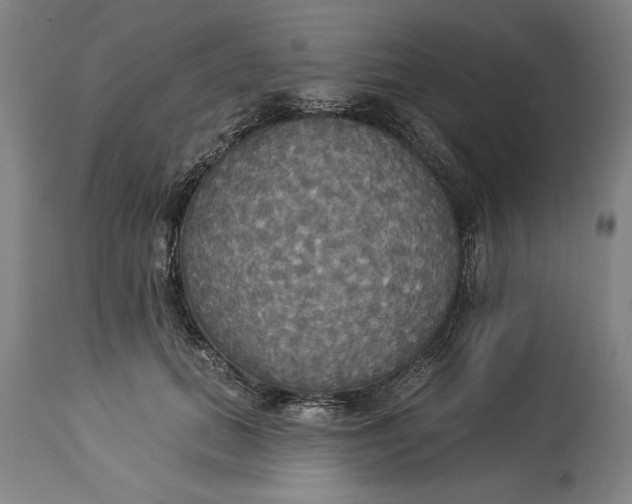 X0000114550655200911091157