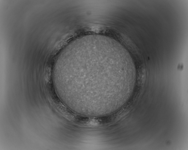 X0000114550656200911091157