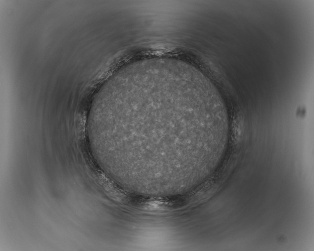 X0000114550657200911091157