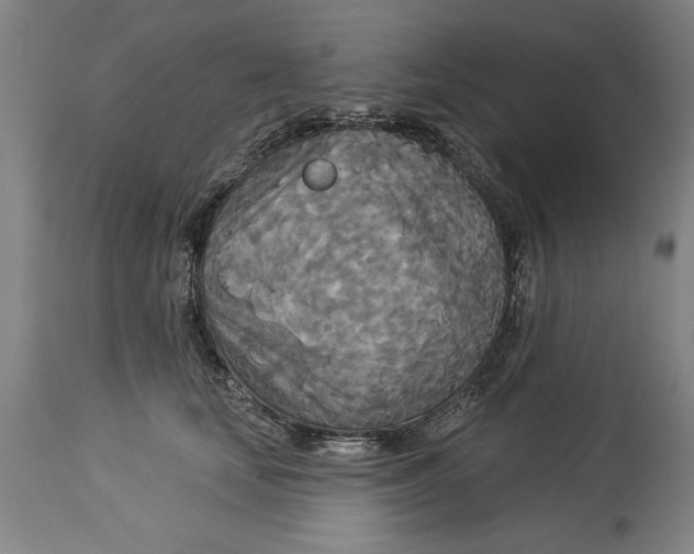 X0000114550659200911091157