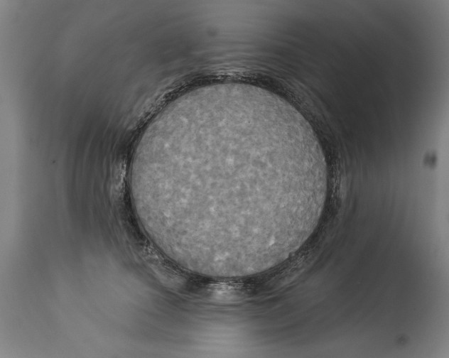 X0000114550660200911091157