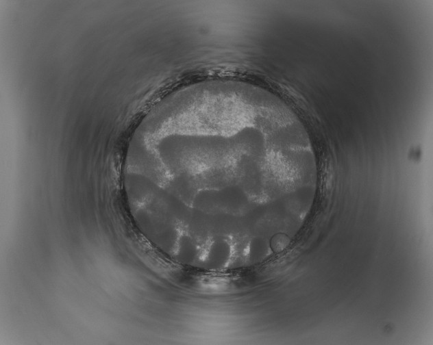 X0000114550661200911091157