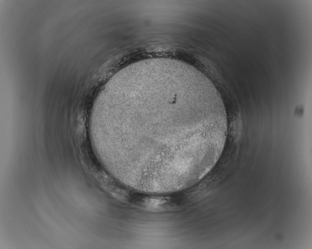 X0000114550662200911091157