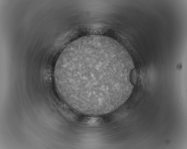 X0000114550663200911091157