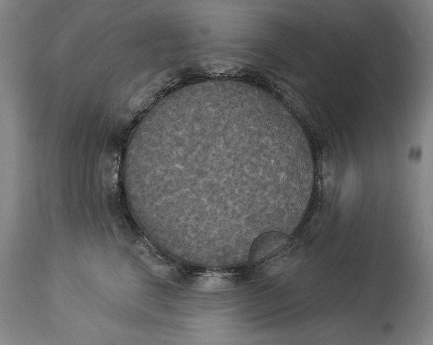 X0000114550664200911091157