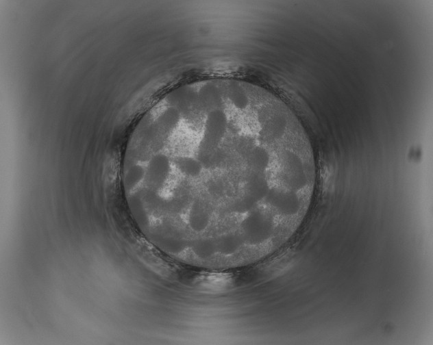 X0000114550665200911091157