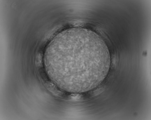 X0000114550667200911091157