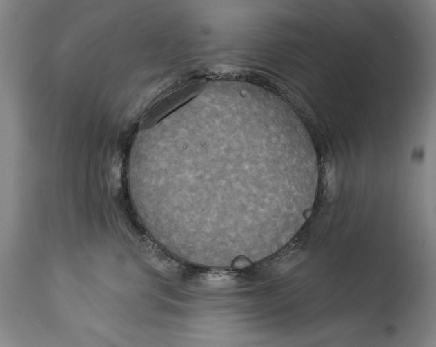 X0000114550668200911091157