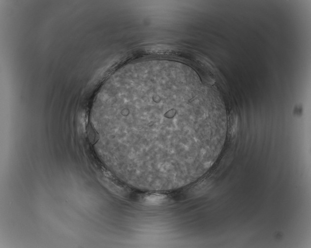 X0000114550669200911091157