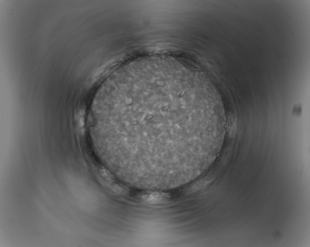 X0000114550670200911091157
