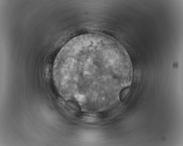 X0000114550671200911091157