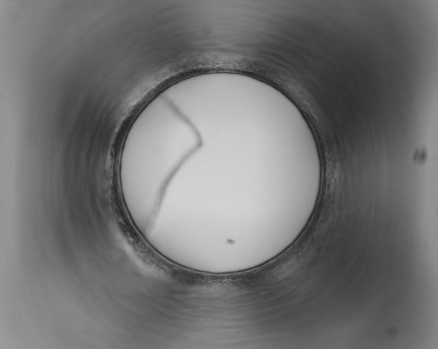 X0000114550674200911091156