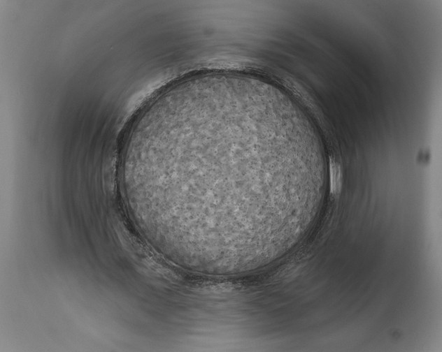 X0000114550675200911091156