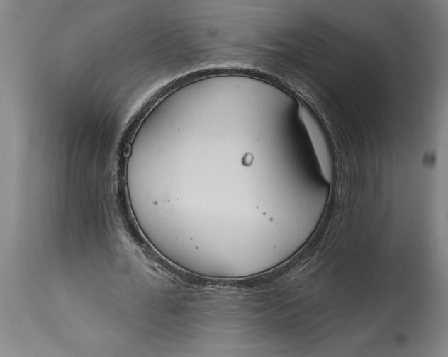 X0000114550676200911091156
