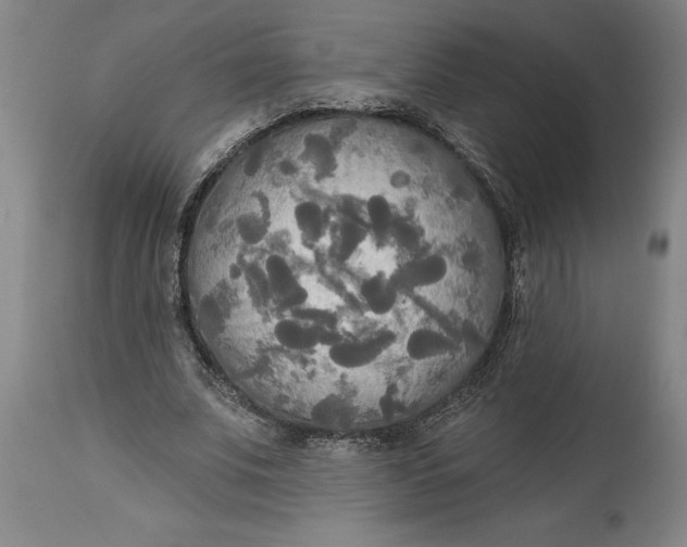 X0000114550679200911091156