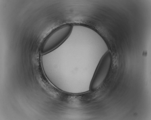 X0000114550680200911091156