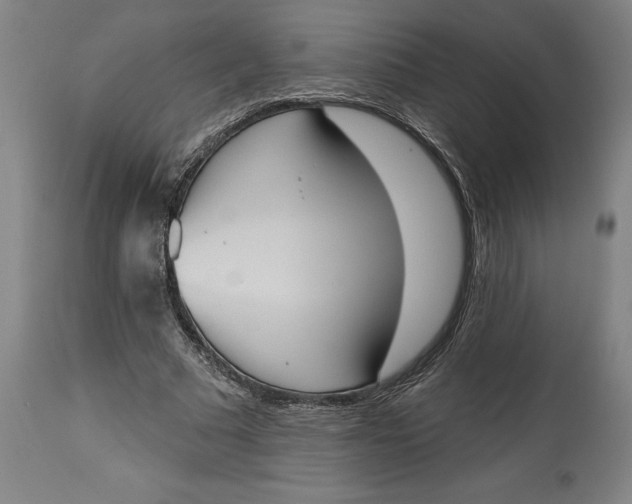 X0000114550681200911091156