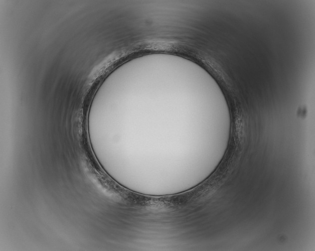 X0000114550682200911091156