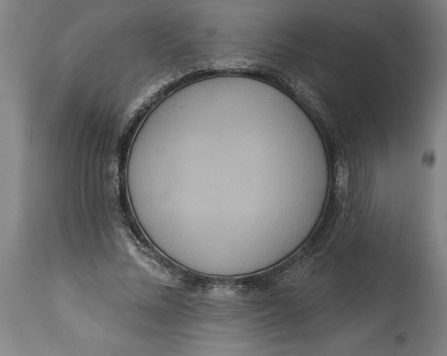 X0000114550684200911091156