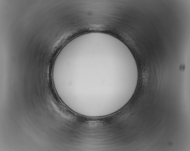 X0000114550686200911091156
