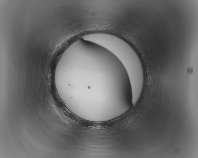 X0000114550688200911091156