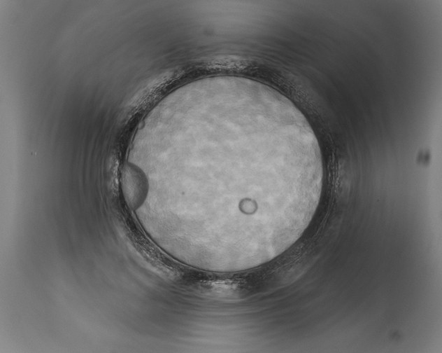 X0000114550692200911091156