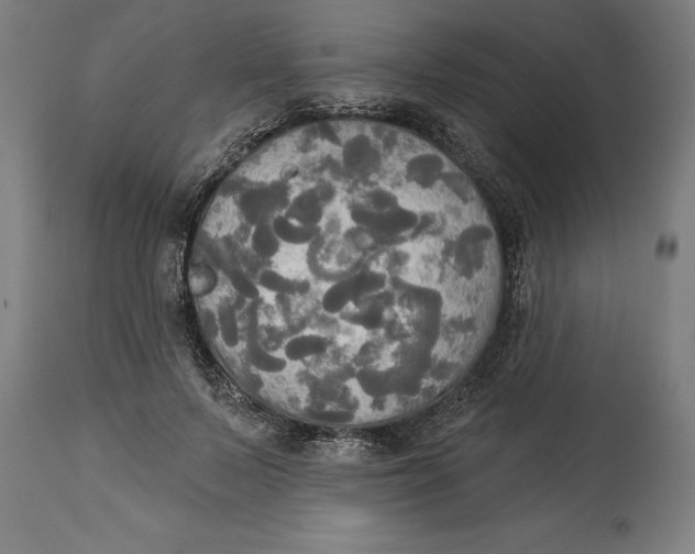X0000114550695200911091156