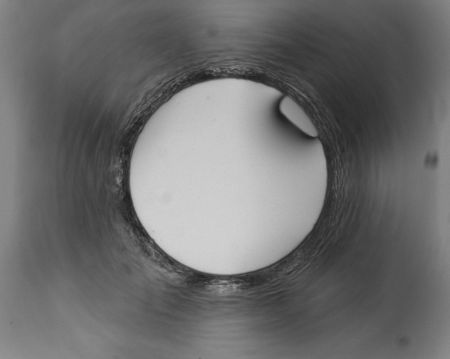 X0000114550701200911091156