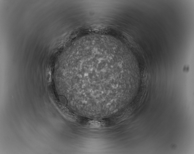 X0000114550703200911091156