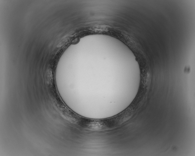 X0000114550704200911091156