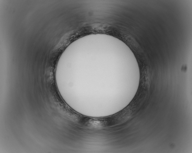 X0000114550706200911091156