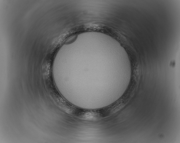X0000114550708200911091156