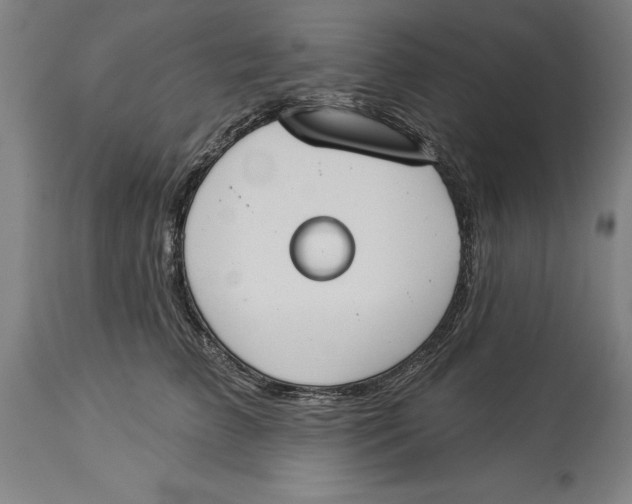 X0000114550709200911091156