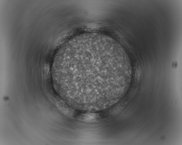 X0000114550711200911091156