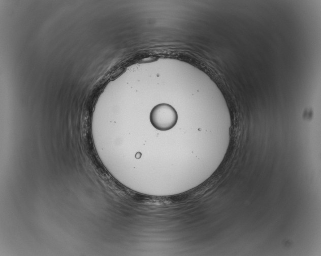 X0000114550712200911091156