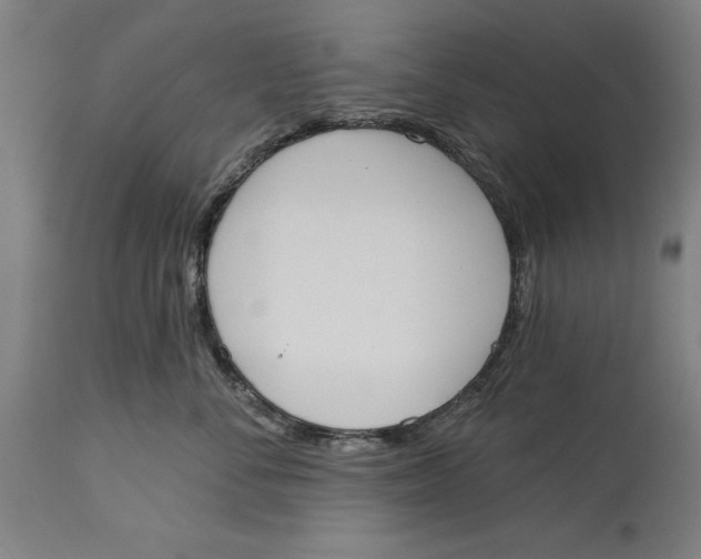 X0000114550716200911091155