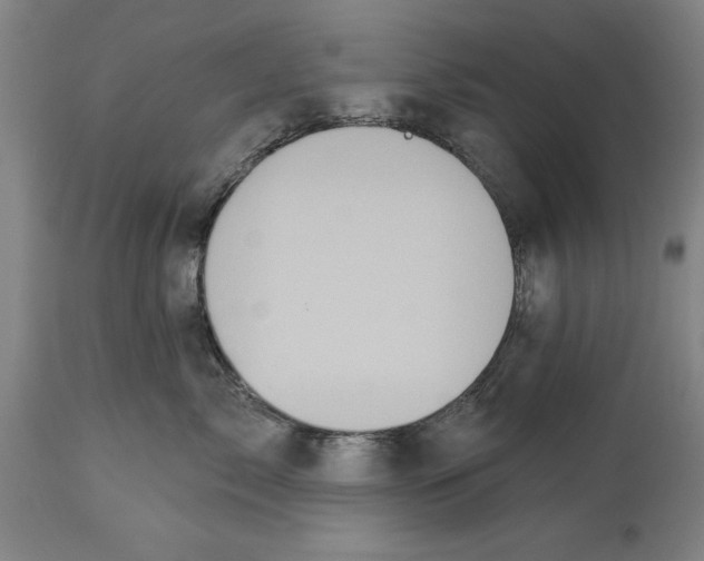 X0000114550717200911091155