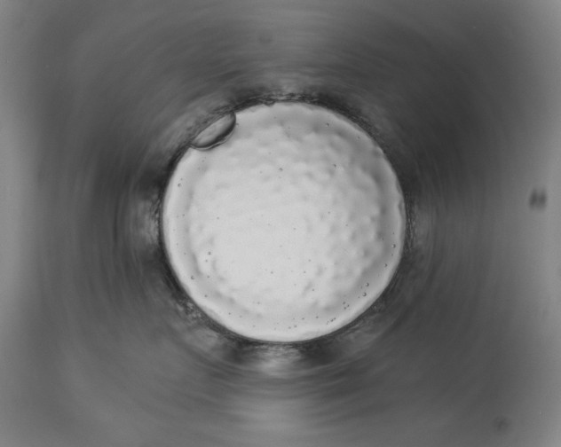X0000114550719200911091155