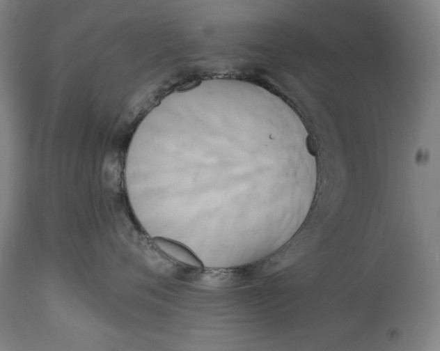 X0000114550720200911091155