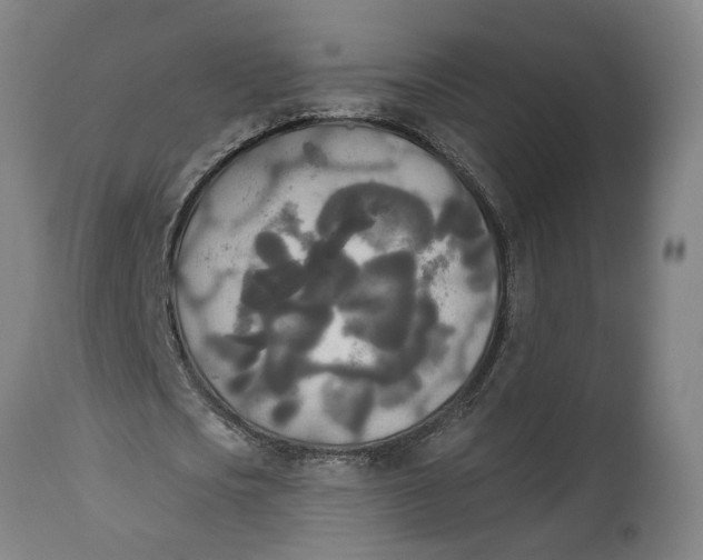 X0000114550721200911091155