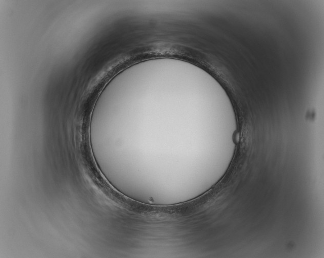 X0000114550722200911091155