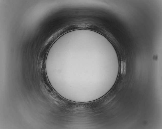 X0000114550723200911091155