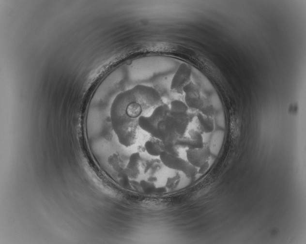 X0000114550725200911091155