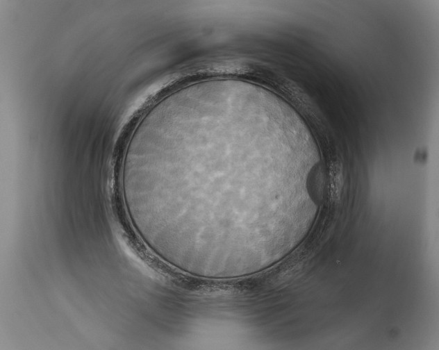 X0000114550726200911091155