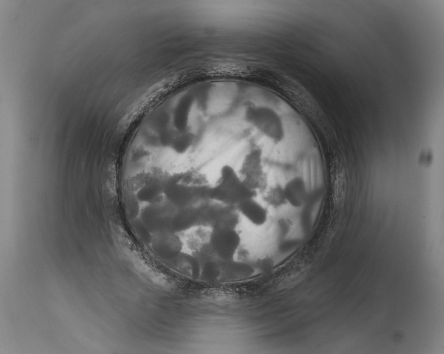 X0000114550729200911091155