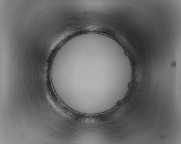 X0000114550730200911091155