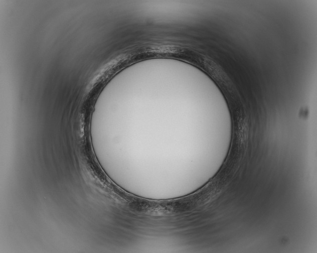 X0000114550731200911091155
