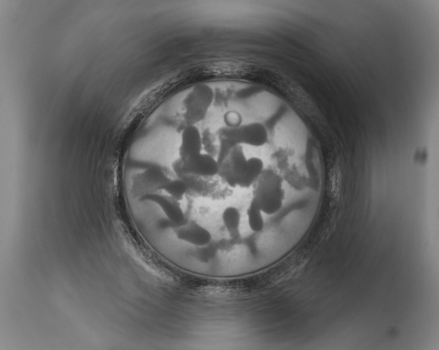 X0000114550733200911091155