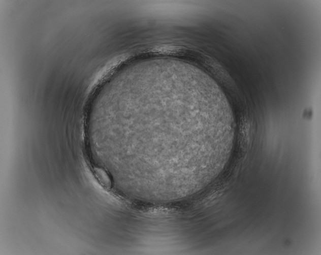 X0000114550734200911091155